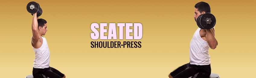 Seated Shoulder Press