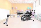 Sunny Health & Fitness SF-RW5624 Full Motion Magnetic Rowing Machine